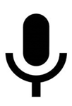 Voice Assistant